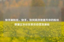 快手刷粉丝，快手，如何高效地提升你的粉丝数量亿乐社区低价自营货源站