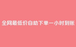 全网最低价：自助下单一小时到账
