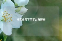 抖音业务下单平台有哪些