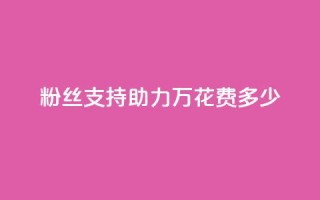 粉丝支持助力 100万，花费多少？