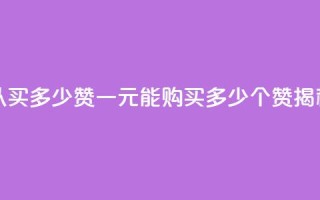 一元可以买多少赞 - 一元能购买多少个赞揭秘~