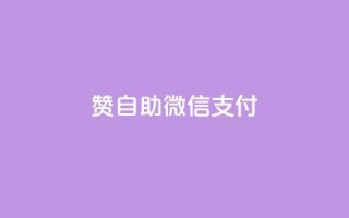 Ks赞自助微信支付 - 微信卡盟