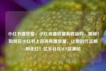 小红书播放量，小红书播放量有收益吗，揭秘！如何在小红书上获得高播放量，让你的作品瞬间走红！亿乐社区SUP货源站