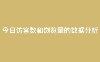 今日访客数和浏览量的数据分析