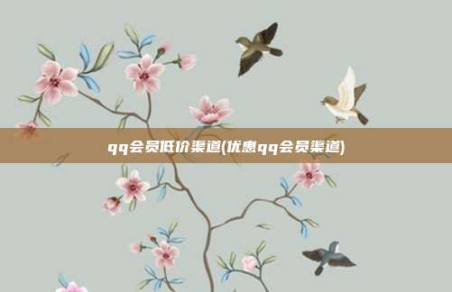 qq会员低价渠道(优惠qq会员渠道)  第1张