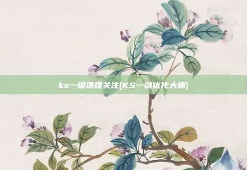 ks一键清理关注(KS一键优化大师)  第1张