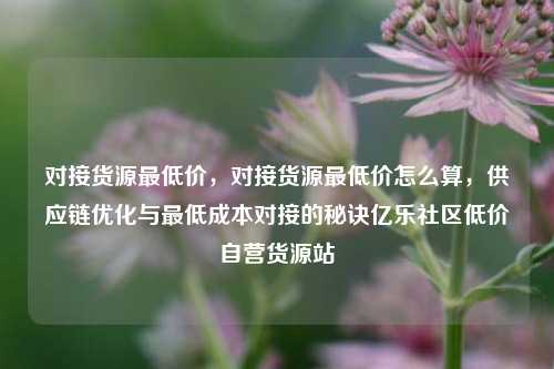 对接货源最低价	，对接货源最低价怎么算，供应链优化与最低成本对接的秘诀亿乐社区低价自营货源站  第1张