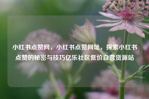 小红书点赞网，小红书点赞网址，探索小红书点赞的秘密与技巧亿乐社区低价自营货源站  第1张