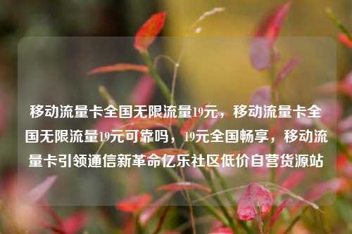 移动流量卡全国无限流量19元，移动流量卡全国无限流量19元可靠吗，19元全国畅享，移动流量卡引领通信新革命亿乐社区低价自营货源站  第1张