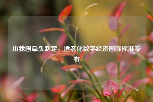 由我国牵头制定，适老化数字经济国际标准发布  第1张