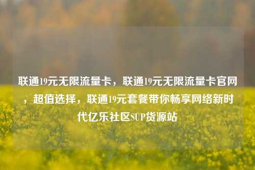 联通19元无限流量卡，联通19元无限流量卡官网，超值选择	，联通19元套餐带你畅享网络新时代亿乐社区SUP货源站  第1张
