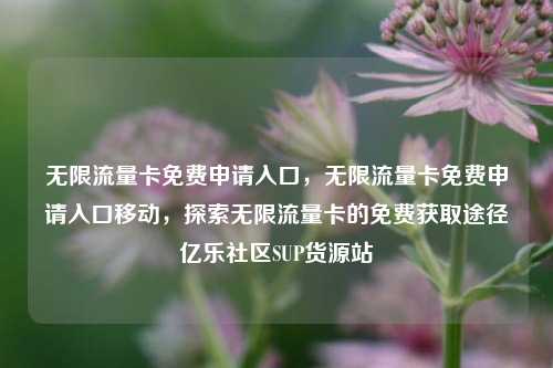 无限流量卡免费申请入口，无限流量卡免费申请入口移动	，探索无限流量卡的免费获取途径亿乐社区SUP货源站  第1张