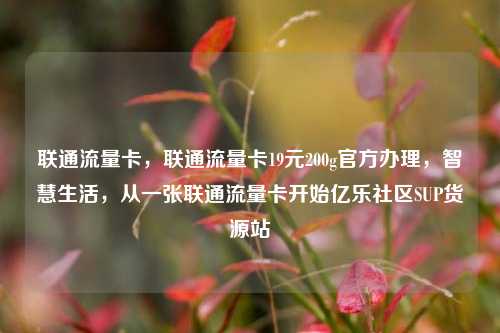 联通流量卡	，联通流量卡19元200g官方办理，智慧生活，从一张联通流量卡开始亿乐社区SUP货源站  第1张
