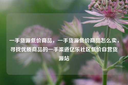 一手货源低价商品，一手货源低价商品怎么卖	，寻找优质商品的一手渠道亿乐社区低价自营货源站  第1张