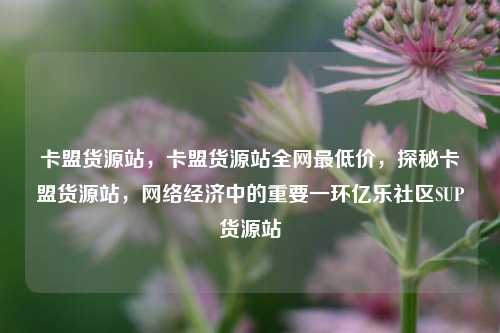 卡盟货源站	，卡盟货源站全网最低价，探秘卡盟货源站，网络经济中的重要一环亿乐社区SUP货源站  第1张