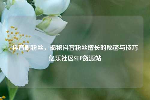 抖音刷粉丝，揭秘抖音粉丝增长的秘密与技巧亿乐社区SUP货源站  第1张