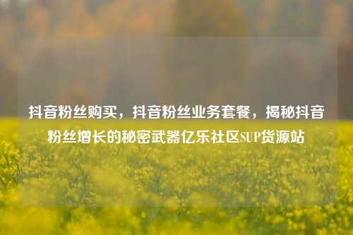 抖音粉丝购买	，抖音粉丝业务套餐，揭秘抖音粉丝增长的秘密武器亿乐社区SUP货源站  第1张