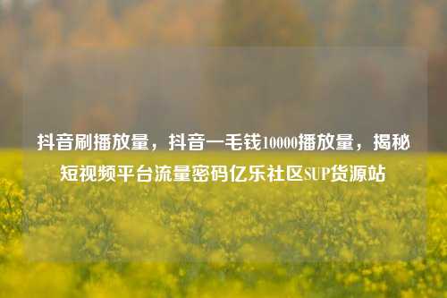 抖音刷播放量，抖音一毛钱10000播放量	，揭秘短视频平台流量密码亿乐社区SUP货源站  第1张