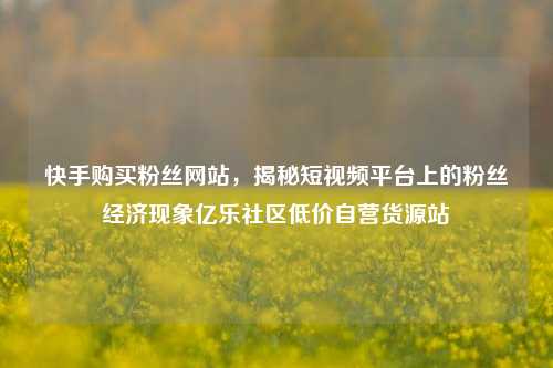 快手购买粉丝网站	，揭秘短视频平台上的粉丝经济现象亿乐社区低价自营货源站  第1张
