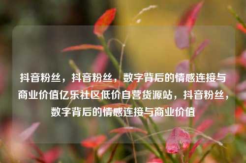 抖音粉丝，抖音粉丝，数字背后的情感连接与商业价值亿乐社区低价自营货源站	，抖音粉丝，数字背后的情感连接与商业价值  第1张