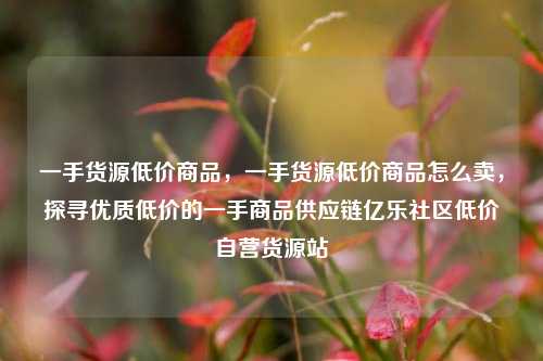 一手货源低价商品	，一手货源低价商品怎么卖，探寻优质低价的一手商品供应链亿乐社区低价自营货源站  第1张