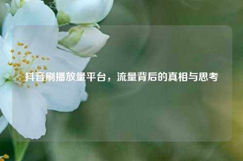 抖音刷播放量平台，流量背后的真相与思考  第1张