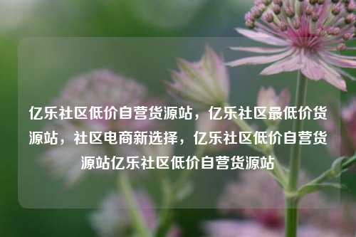亿乐社区低价自营货源站	，亿乐社区最低价货源站，社区电商新选择，亿乐社区低价自营货源站亿乐社区低价自营货源站  第1张