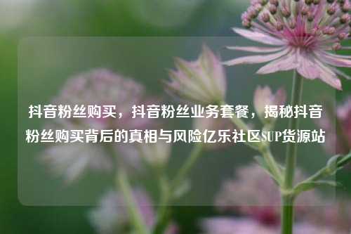 抖音粉丝购买，抖音粉丝业务套餐	，揭秘抖音粉丝购买背后的真相与风险亿乐社区SUP货源站  第1张