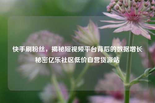 快手刷粉丝，揭秘短视频平台背后的数据增长秘密亿乐社区低价自营货源站  第1张