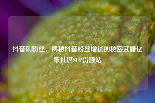 抖音刷粉丝，揭秘抖音粉丝增长的秘密武器亿乐社区SUP货源站  第1张