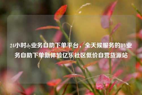 24小时dy业务自助下单平台，全天候服务的DY业务自助下单新体验亿乐社区低价自营货源站  第1张