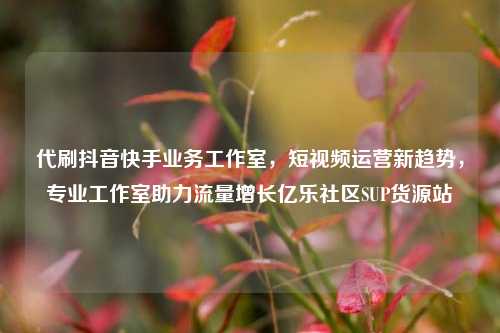 代刷抖音快手业务工作室，短视频运营新趋势，专业工作室助力流量增长亿乐社区SUP货源站  第1张