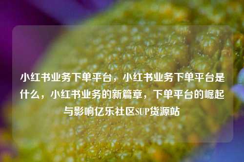 小红书业务下单平台，小红书业务下单平台是什么，小红书业务的新篇章，下单平台的崛起与影响亿乐社区SUP货源站  第1张