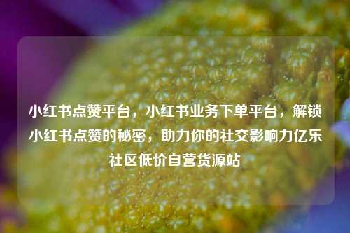小红书点赞平台，小红书业务下单平台，解锁小红书点赞的秘密	，助力你的社交影响力亿乐社区低价自营货源站  第1张