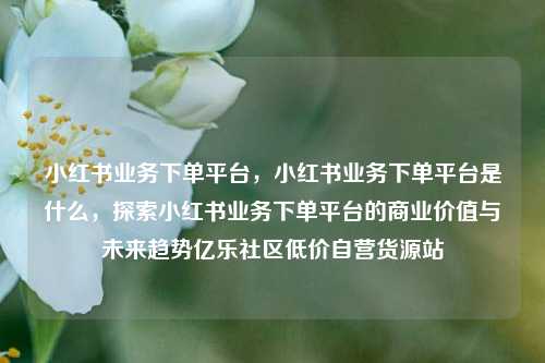 小红书业务下单平台	，小红书业务下单平台是什么，探索小红书业务下单平台的商业价值与未来趋势亿乐社区低价自营货源站  第1张