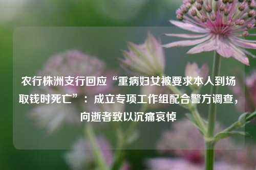 农行株洲支行回应“重病妇女被要求本人到场取钱时死亡”：成立专项工作组配合警方调查，向逝者致以沉痛哀悼  第1张