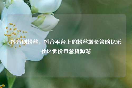 抖音刷粉丝，抖音平台上的粉丝增长策略亿乐社区低价自营货源站  第1张
