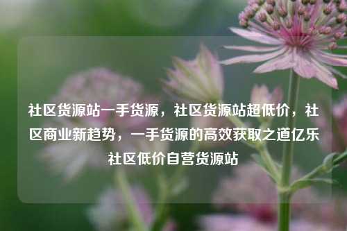 社区货源站一手货源，社区货源站超低价	，社区商业新趋势，一手货源的高效获取之道亿乐社区低价自营货源站  第1张