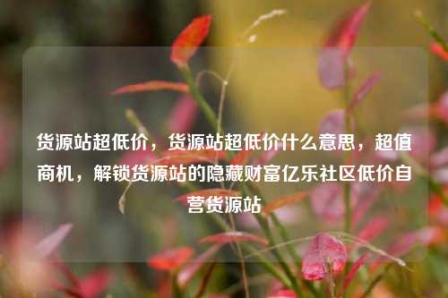 货源站超低价，货源站超低价什么意思，超值商机	，解锁货源站的隐藏财富亿乐社区低价自营货源站  第1张