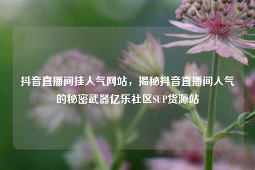 抖音直播间挂人气网站，揭秘抖音直播间人气的秘密武器亿乐社区SUP货源站  第1张