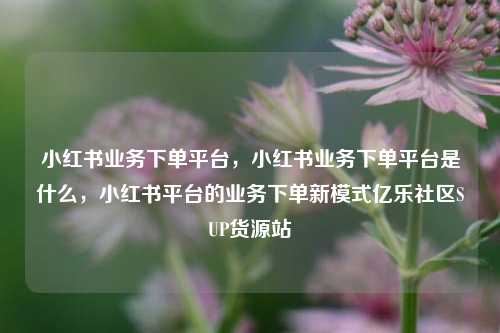 小红书业务下单平台	，小红书业务下单平台是什么，小红书平台的业务下单新模式亿乐社区SUP货源站  第1张