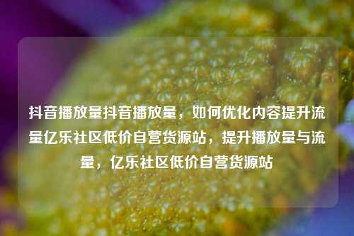 抖音播放量抖音播放量，如何优化内容提升流量亿乐社区低价自营货源站	，提升播放量与流量，亿乐社区低价自营货源站  第1张