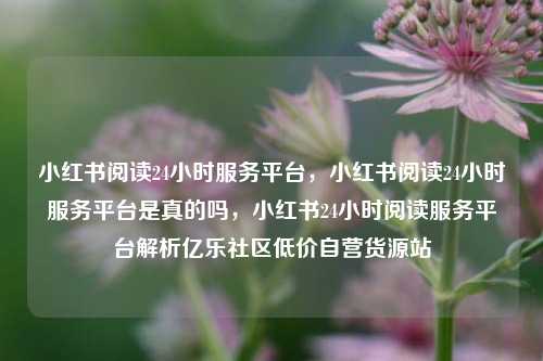 小红书阅读24小时服务平台，小红书阅读24小时服务平台是真的吗	，小红书24小时阅读服务平台解析亿乐社区低价自营货源站  第1张