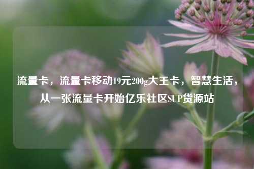 流量卡，流量卡移动19元200g大王卡	，智慧生活，从一张流量卡开始亿乐社区SUP货源站  第1张