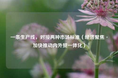 一条生产线，对接两种市场标准（经济聚焦·加快推动内外贸一体化）  第1张