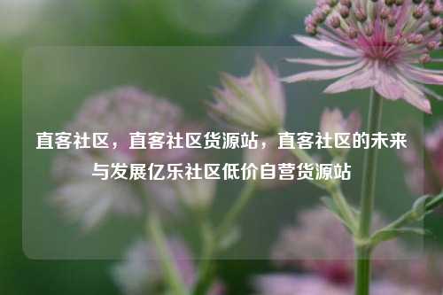直客社区	，直客社区货源站，直客社区的未来与发展亿乐社区低价自营货源站  第1张