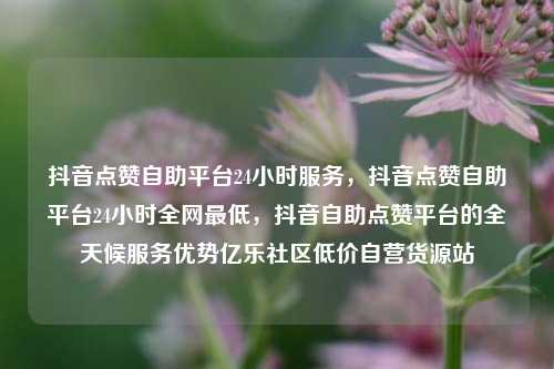 抖音点赞自助平台24小时服务，抖音点赞自助平台24小时全网最低，抖音自助点赞平台的全天候服务优势亿乐社区低价自营货源站  第1张