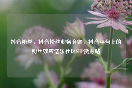 抖音粉丝，抖音粉丝业务套餐，抖音平台上的粉丝效应亿乐社区SUP货源站  第1张