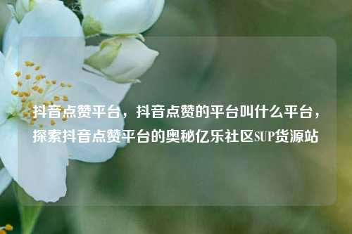抖音点赞平台，抖音点赞的平台叫什么平台，探索抖音点赞平台的奥秘亿乐社区SUP货源站  第1张
