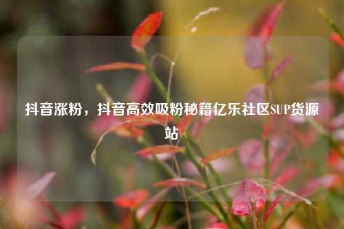 抖音涨粉，抖音高效吸粉秘籍亿乐社区SUP货源站  第1张